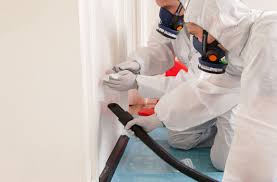 Asbestos Surveys Explained: From Basic Inspections to Intrusive Assessments